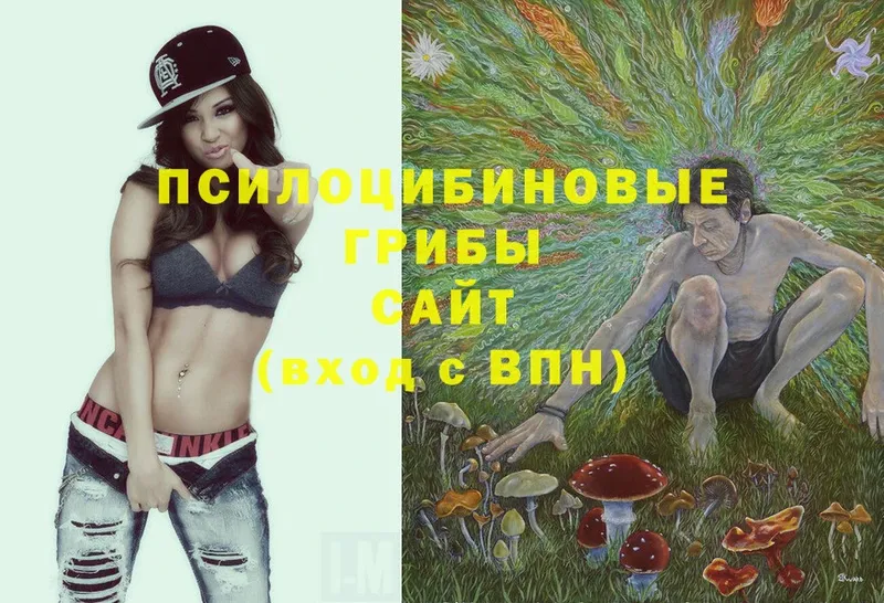 Псилоцибиновые грибы Magic Shrooms  Алдан 